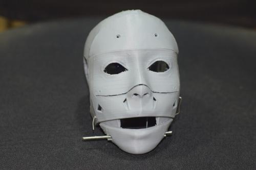 Chat-Bot Model